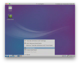 LXTerminal Panel 1
